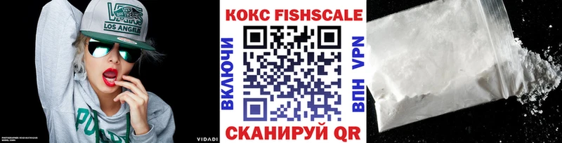 мега зеркало  Сенгилей  площадка какой сайт  Кокаин Fish Scale 